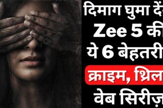 Top 6 Best Mystery Crime Thriller Web Series On Zee5